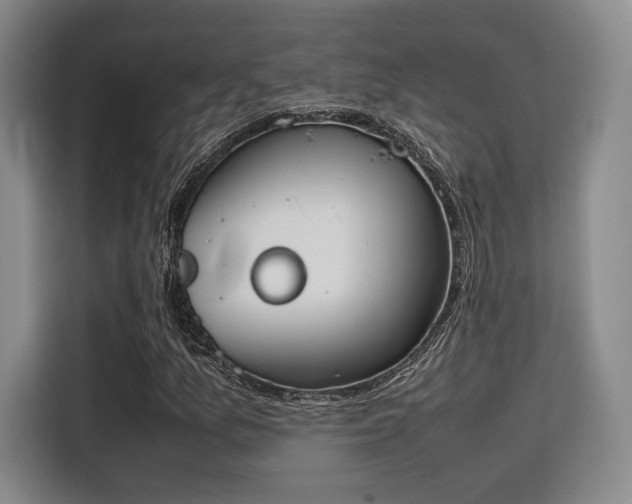 X0000115781157200911201306