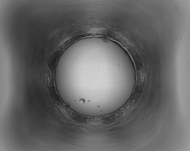 X0000115781158200911201306
