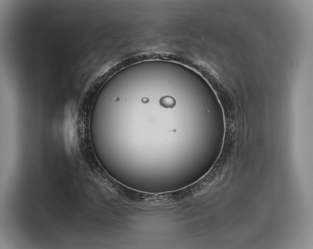 X0000115781159200911201306
