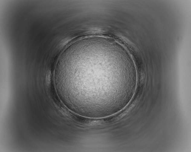 X0000115781161200911201306