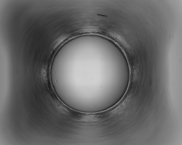 X0000115781162200911201306