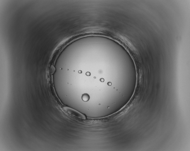 X0000115781164200911201306