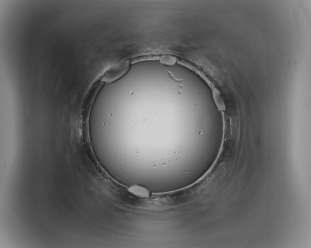 X0000115781165200911201306
