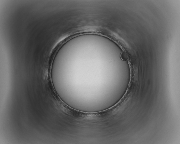 X0000115781166200911201306