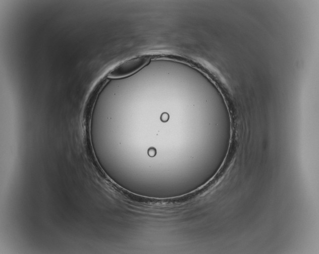 X0000115781167200911201306