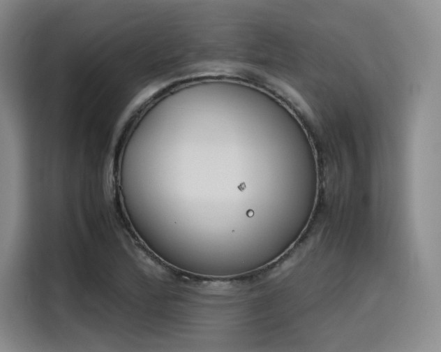 X0000115781172200911201306