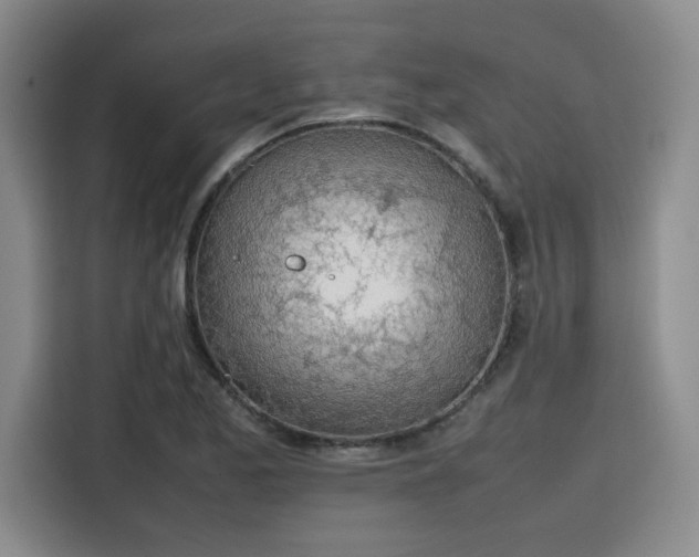 X0000115781173200911201306