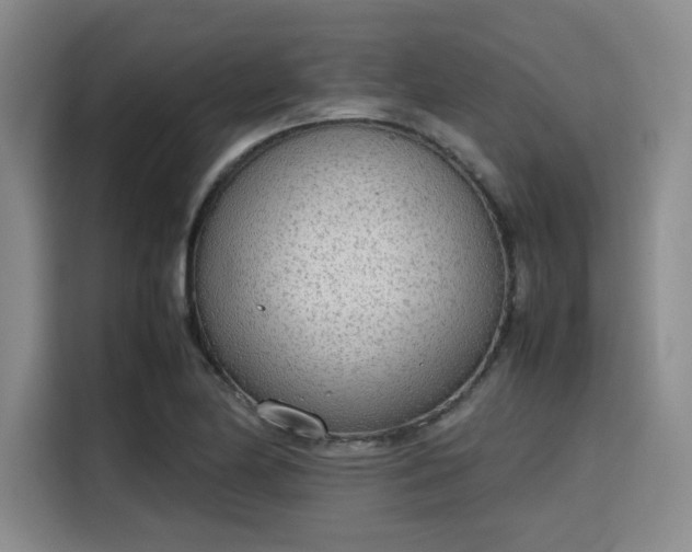 X0000115781174200911201306