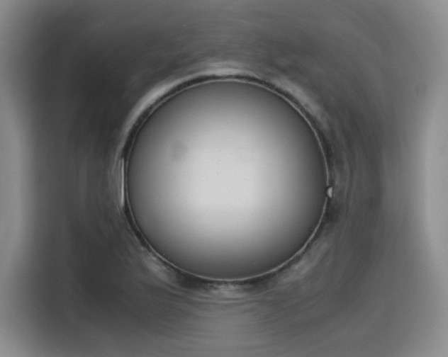 X0000115781175200911201306