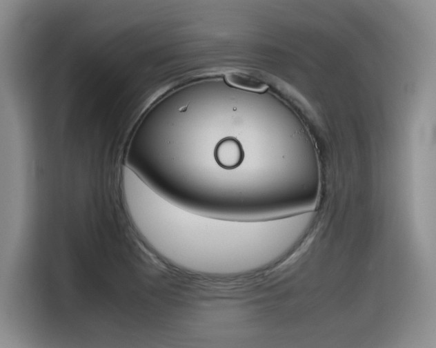 X0000115781177200911201306