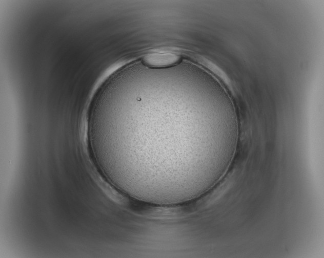 X0000115781179200911201306