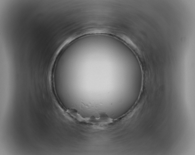 X0000115781181200911201306