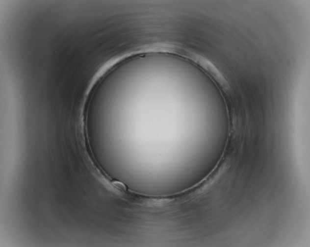 X0000115781184200911201306