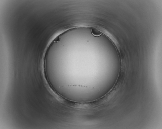 X0000115781187200911201306