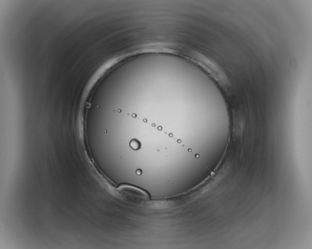 X0000115781188200911201306