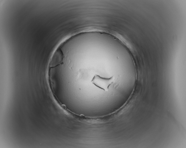 X0000115781189200911201306