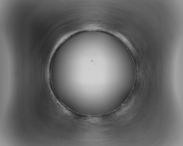 X0000115781191200911201306