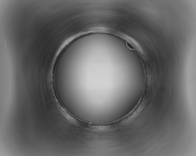 X0000115781192200911201306
