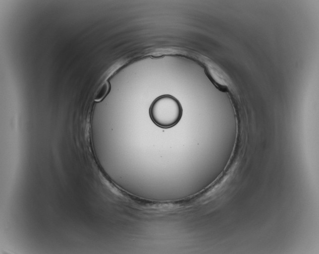 X0000115781193200911201305