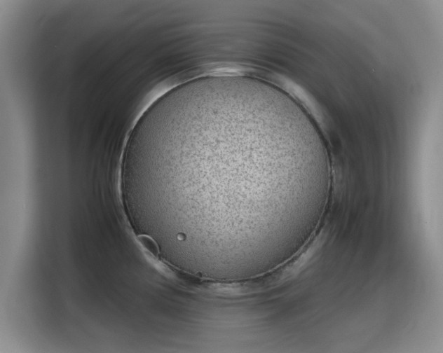 X0000115781194200911201305
