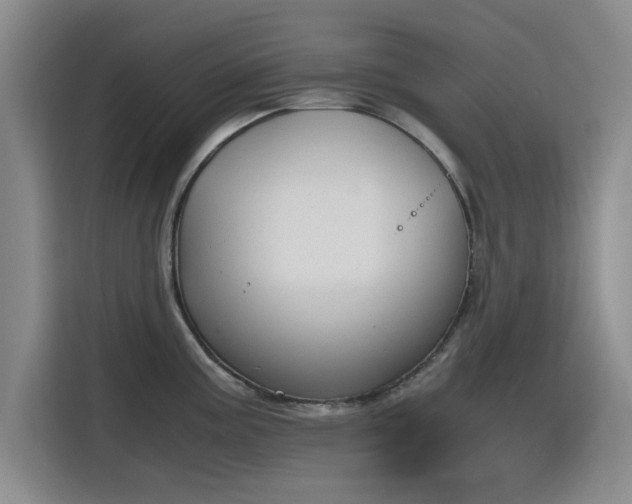X0000115781195200911201305