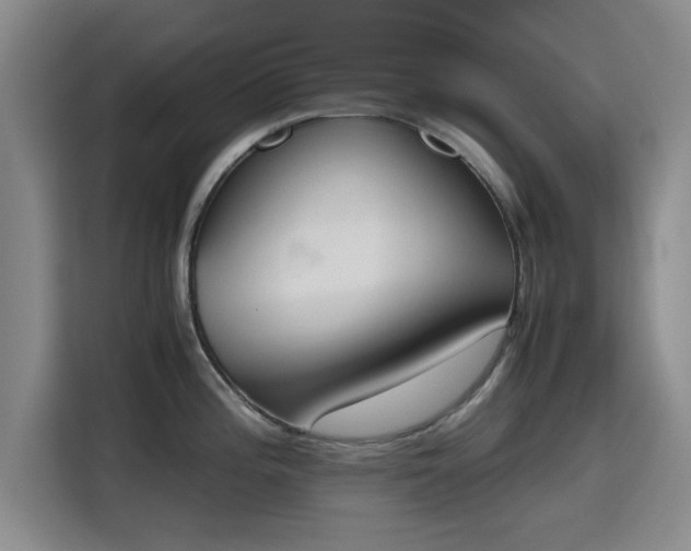 X0000115781196200911201305