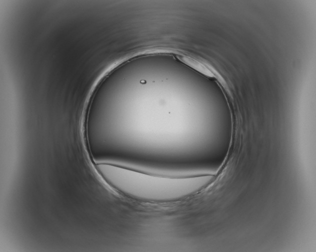 X0000115781197200911201305