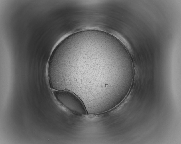 X0000115781198200911201305