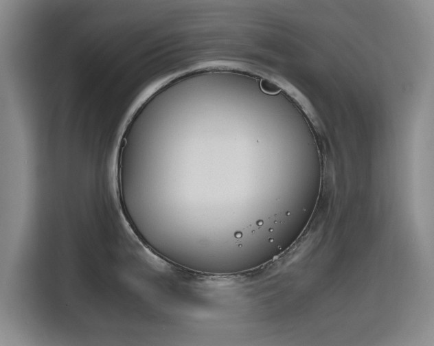 X0000115781199200911201305