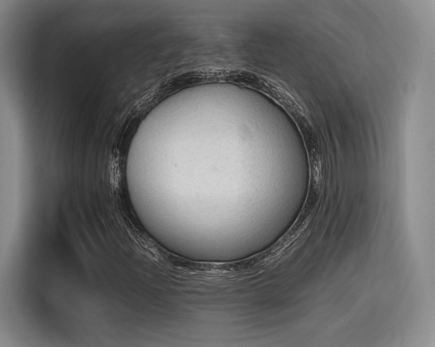X0000115781204200911201305