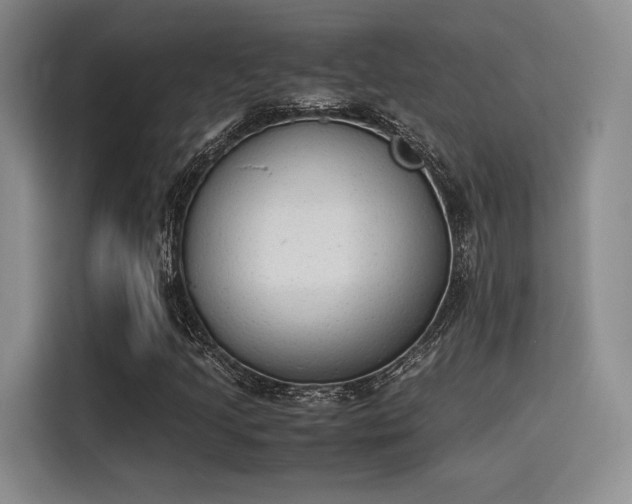 X0000115781205200911201305