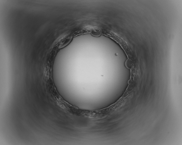 X0000115781207200911201305