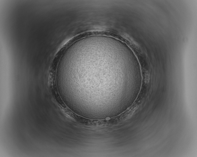 X0000115781208200911201305