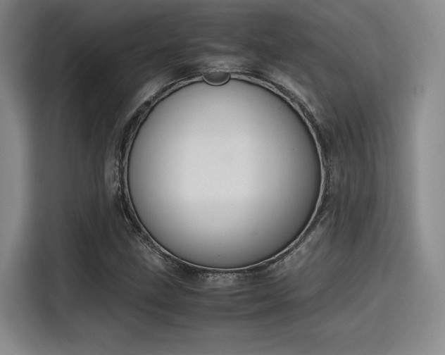 X0000115781211200911201305