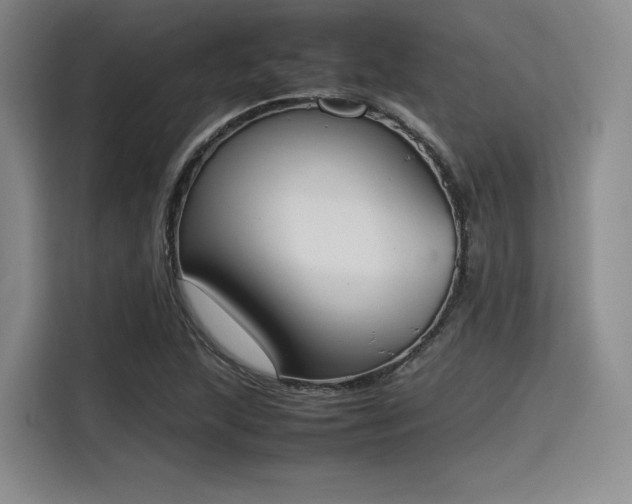 X0000115781215200911201305