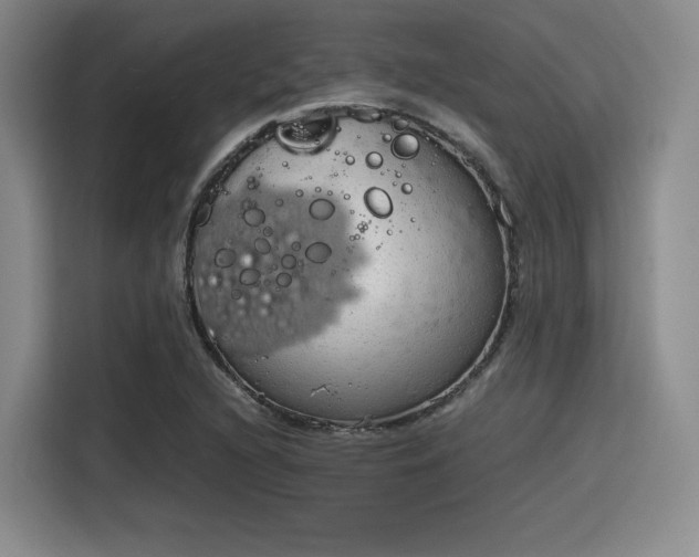 X0000115781216200911201305