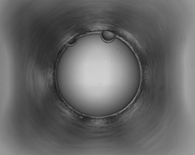 X0000115781217200911201305