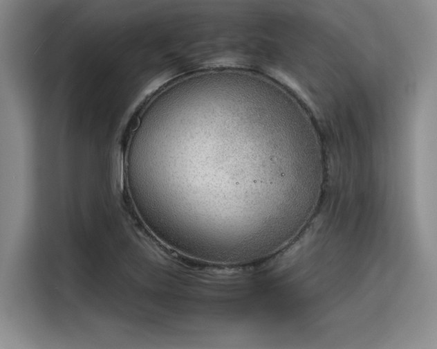 X0000115781219200911201305
