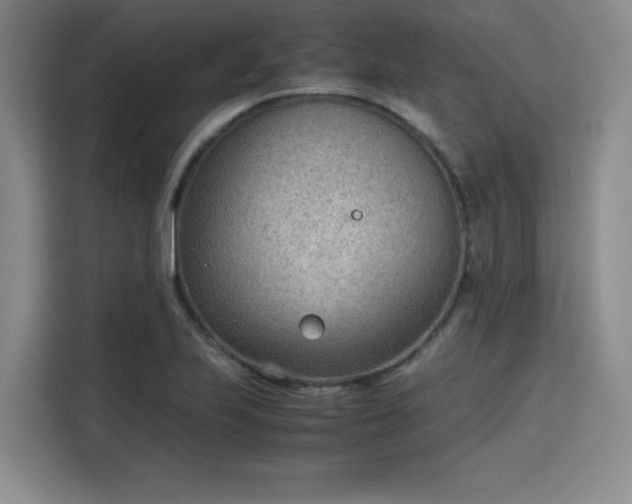 X0000115781223200911201305