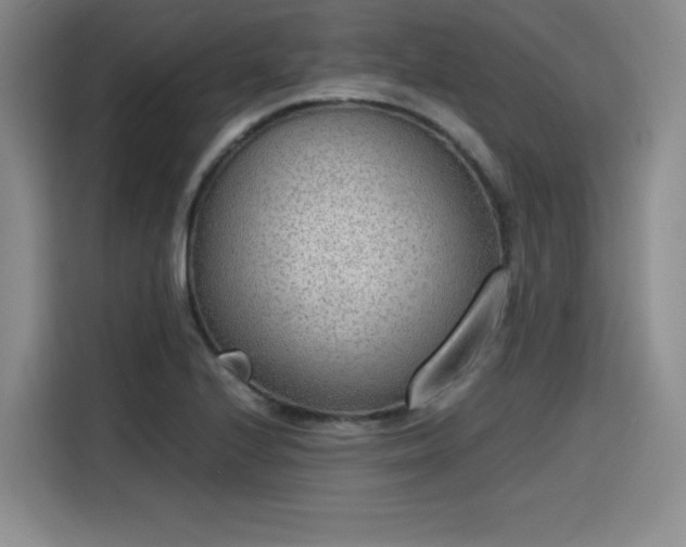 X0000115781224200911201305