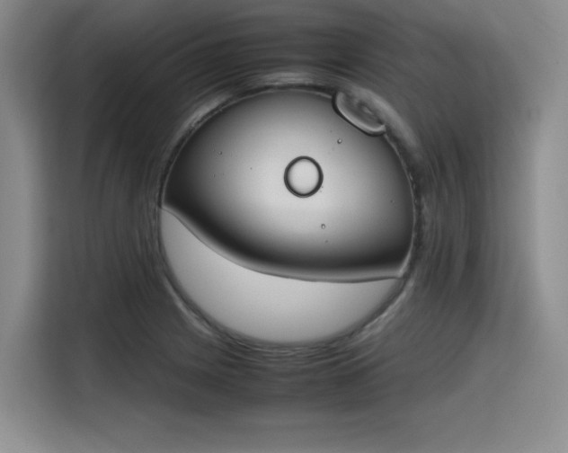 X0000115781225200911201305