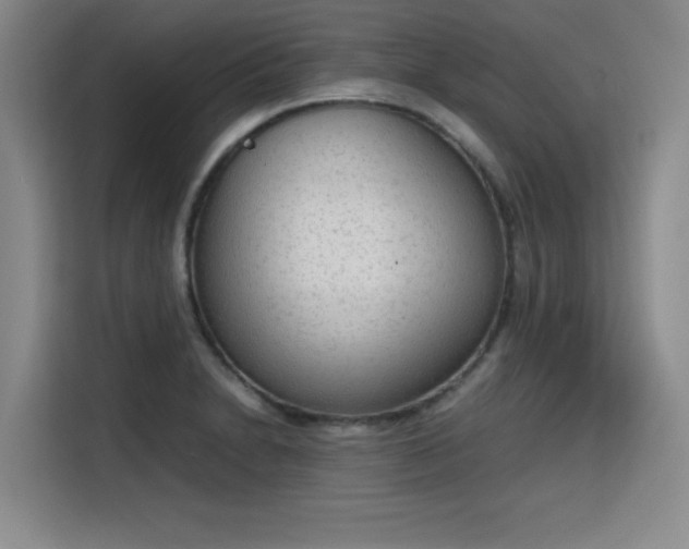 X0000115781230200911201305