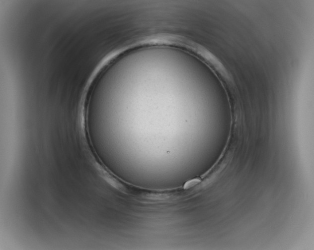 X0000115781232200911201305