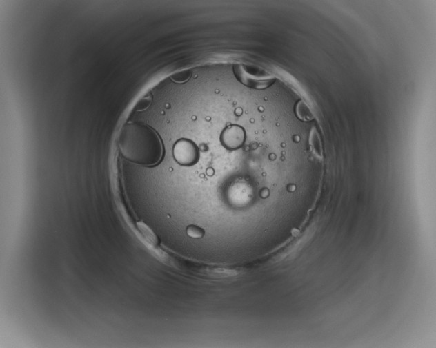 X0000115781235200911201305