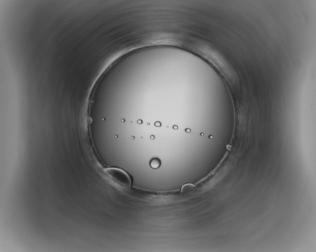 X0000115781236200911201305
