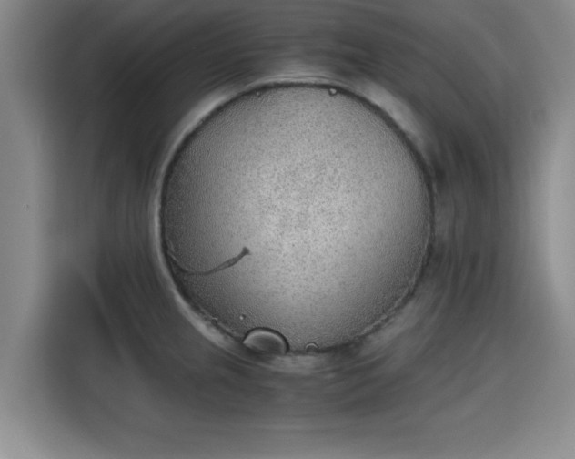 X0000115781237200911201305