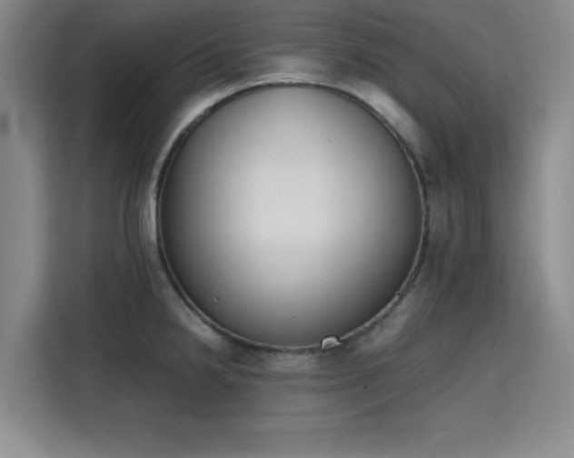 X0000115781238200911201305