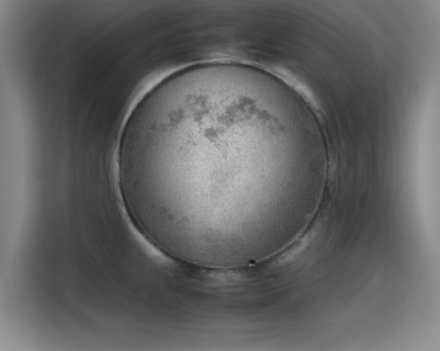 X0000115781239200911201305
