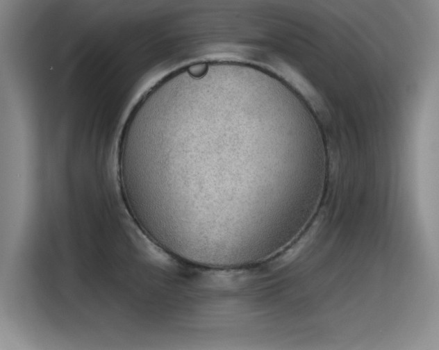 X0000115781240200911201305