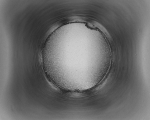 X0000115781241200911201305